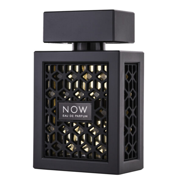 (plu00012) - Apa de Parfum Now, Rave, Barbati - 100ml