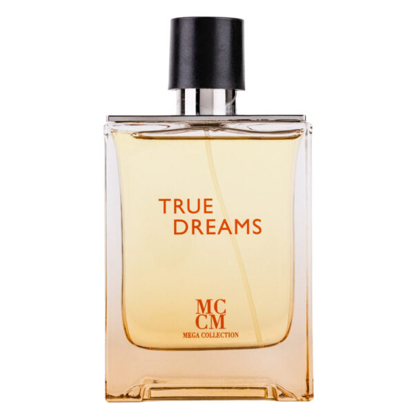 (plu00623) - Apa de Parfum True Dreams, Mega Collection, Barbati - 100ml