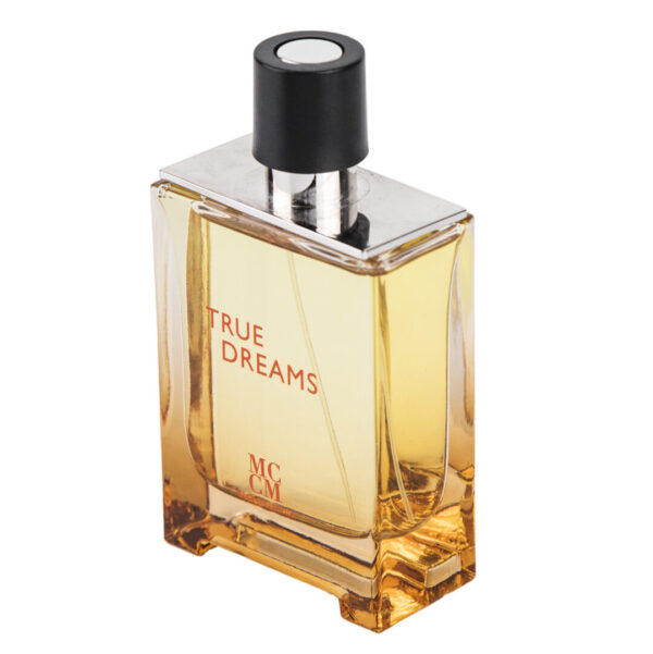 (plu00623) - Apa de Parfum True Dreams, Mega Collection, Barbati - 100ml